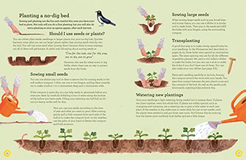 Charles Dowding - No-Dig Children's Gardening Book - Hardback image 8