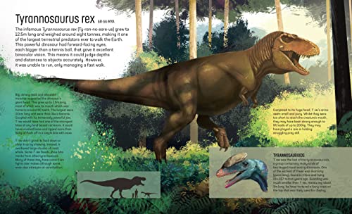 Clive Gifford - Land of Hunters : Earth's Most Fearsome Predators image 4