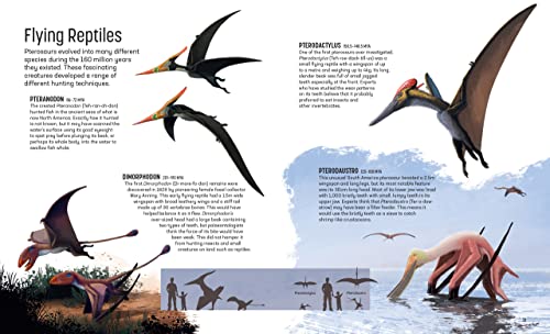 Clive Gifford - Land of Hunters : Earth's Most Fearsome Predators image 7