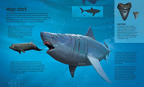 Clive Gifford - Land of Hunters : Earth's Most Fearsome Predators image 9