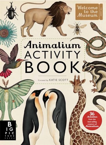 Animalium Activity Book - Paperback image 1