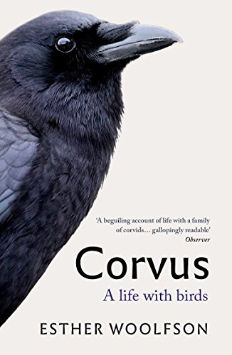 Esther Woolfson - Corvus : A Life With Birds - Paperback image 1