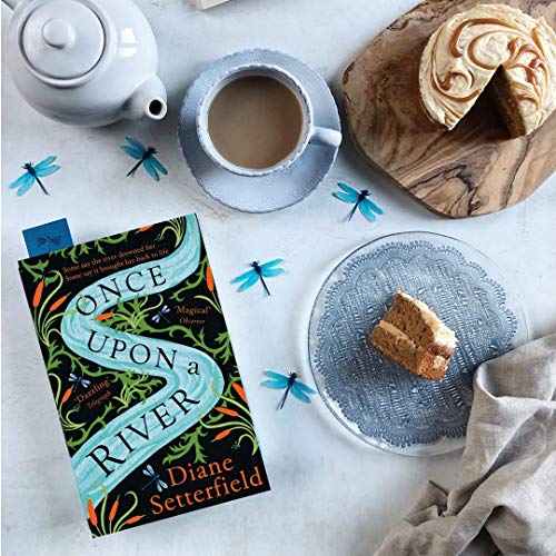 Diane Setterfield - Once Upon a River : The Sunday Times bestseller - image 2