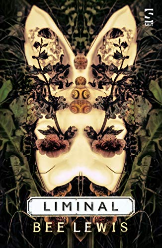 Bee Lewis - Liminal - Paperback image 1