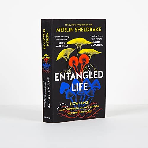 Merlin Sheldrake - Entangled Life : How Fungi Make Our Worlds, Change image 4