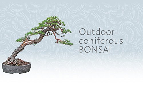 Peter Chan - Bonsai Beginner's Bible : The definitive guide to cho image 4