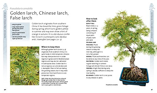 Peter Chan - Bonsai Beginner's Bible : The definitive guide to cho image 5