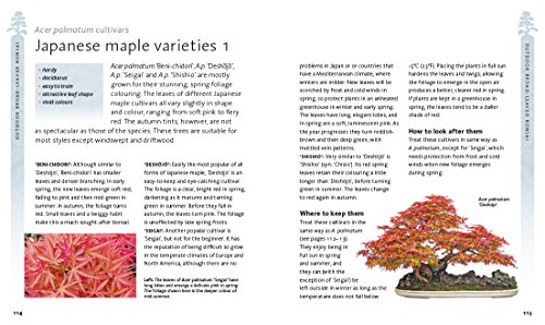 Peter Chan - Bonsai Beginner's Bible : The definitive guide to cho image 6