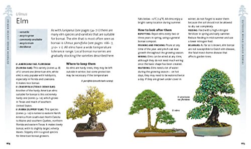 Peter Chan - Bonsai Beginner's Bible : The definitive guide to cho image 7