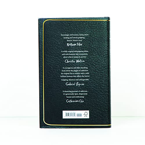 Matt Rowland Hill - Original Sins : An extraordinary memoir of faith, image 4
