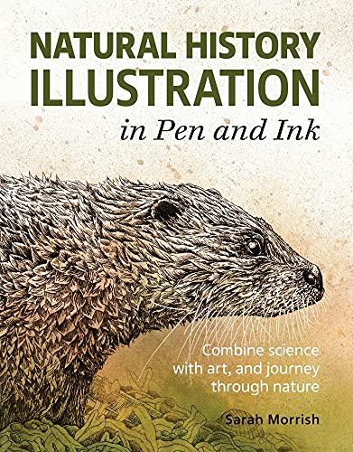 Sarah Morrish - Natural History Illustration in Pen and Ink : Combine image 1