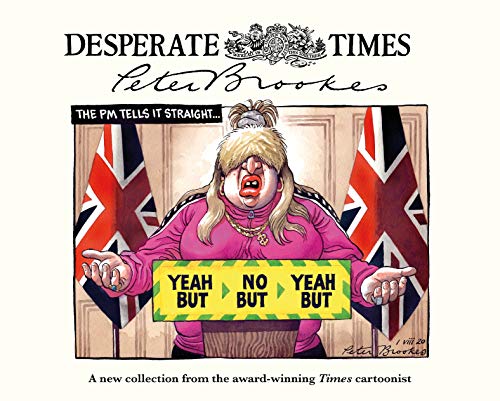 Peter Brookes - Desperate Times - Hardback image 1