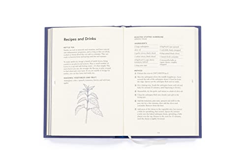 Joey Hulin - Your Spiritual Almanac : A Year of Living Mindfully - Har image 6