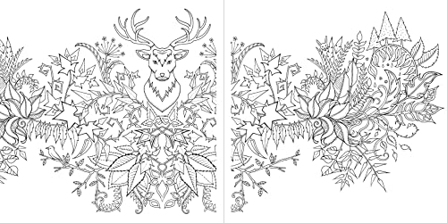Johanna Basford - Miniature Enchanted Forest - Paperback image 4