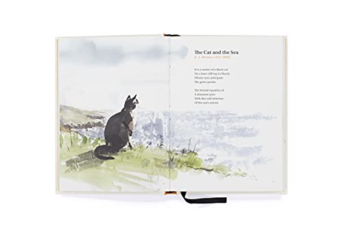 Ana Sampson - Book of Cat Poems - Hardback image 4