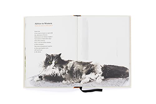 Ana Sampson - Book of Cat Poems - Hardback image 5