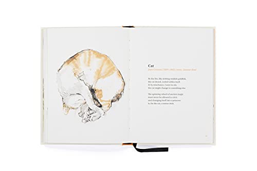 Ana Sampson - Book of Cat Poems - Hardback image 7