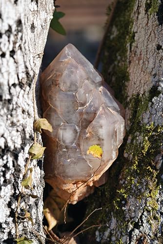 Amaris - Sensory Crystal Healing : Gem Sorcery to Improve Your Wellbei image 2