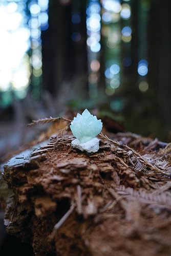Amaris - Sensory Crystal Healing : Gem Sorcery to Improve Your Wellbei image 3