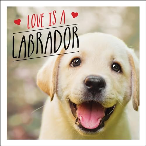 Charlie Ellis - Love is a Labrador : A Lab-Tastic Celebration of the W image 1