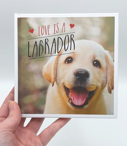 Charlie Ellis - Love is a Labrador : A Lab-Tastic Celebration of the W image 2