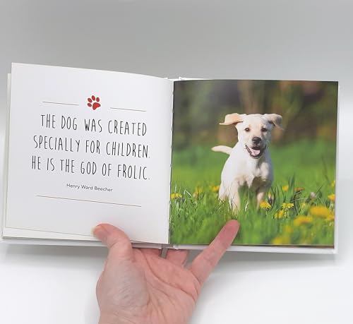 Charlie Ellis - Love is a Labrador : A Lab-Tastic Celebration of the W image 3