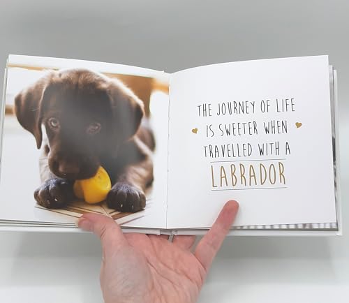 Charlie Ellis - Love is a Labrador : A Lab-Tastic Celebration of the W image 4