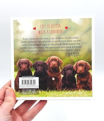 Charlie Ellis - Love is a Labrador : A Lab-Tastic Celebration of the W image 5