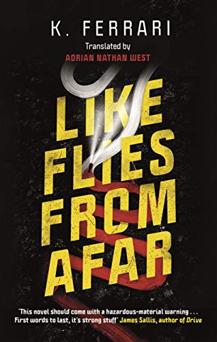 K. Ferrari - Like Flies from Afar - Paperback image 1