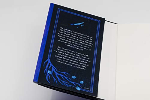 Peter Ackroyd - Mr Cadmus - Hardback image 8
