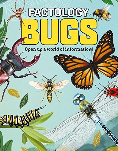 Factology: Bugs : Open Up a World of Information! - Hardback image 1