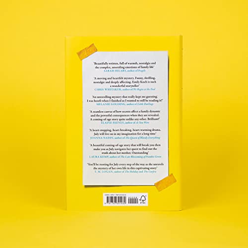 Emily Koch - What July Knew : If you liked ELIZABETH IS MISSING, you&# image 3