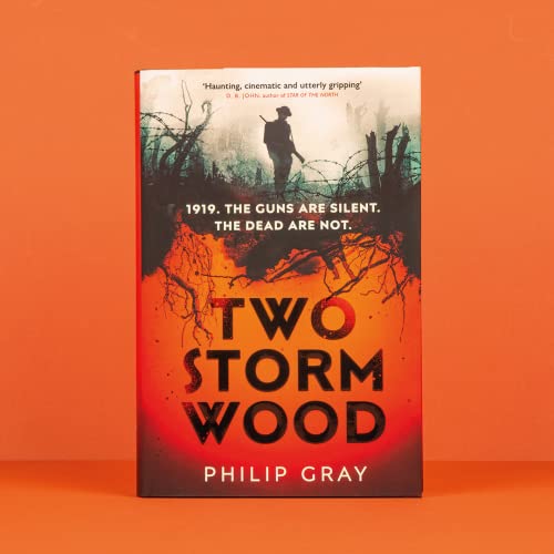 Philip Gray - Two Storm Wood : Uncover an unsettling mystery of World image 2