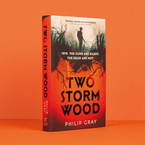 Philip Gray - Two Storm Wood : Uncover an unsettling mystery of World image 3
