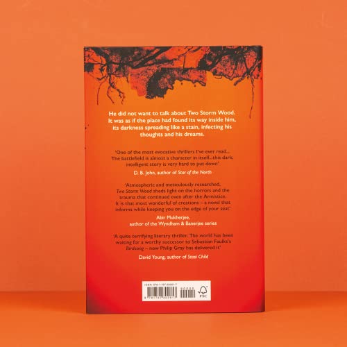 Philip Gray - Two Storm Wood : Uncover an unsettling mystery of World image 4
