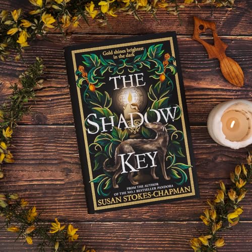 Susan Stokes-Chapman - Shadow Key - Hardback image 3