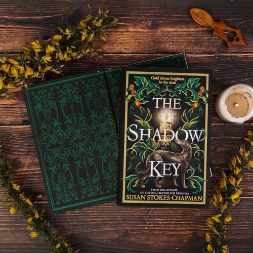 Susan Stokes-Chapman - Shadow Key - Hardback image 5