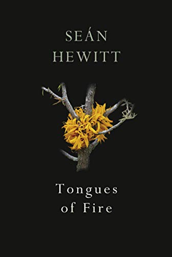 Sean Hewitt - Tongues of Fire - Paperback image 1