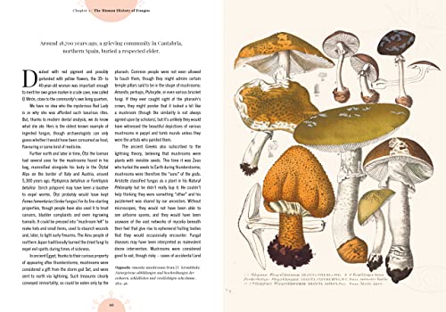 Royal Botanic Garden - Kew - The Magic of Mushrooms : Fungi in folklor image 4