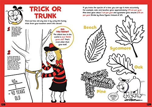 Beano Studios Limite - Beano Book of Mischief, Mayhem and Fun - Hardba image 6