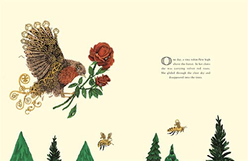 Jason Jameson - Robin and the Fir Tree - Hardback image 3