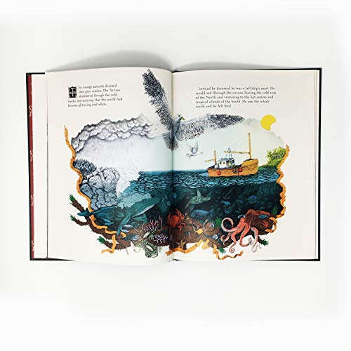 Jason Jameson - Robin and the Fir Tree - Hardback image 7
