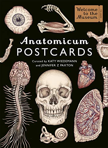 Jennifer Z Paxton - Anatomicum Postcard Box - Non-book item image 1