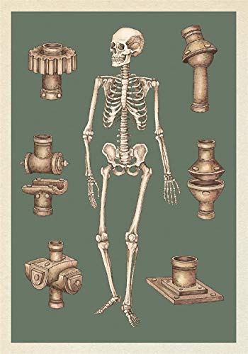 Jennifer Z Paxton - Anatomicum Postcard Box - Non-book item image 2