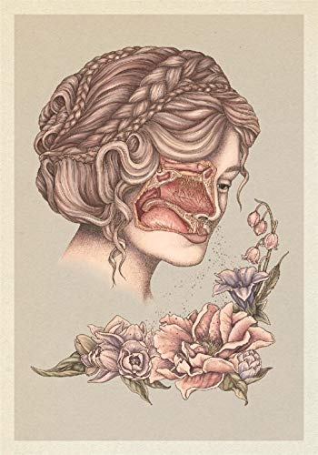 Jennifer Z Paxton - Anatomicum Postcard Box - Non-book item image 3