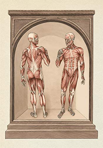 Jennifer Z Paxton - Anatomicum Postcard Box - Non-book item image 5