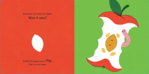 Maggie Li - Little Life Cycles: Pip - Hardback image 2