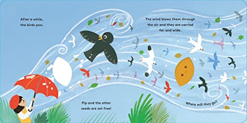Maggie Li - Little Life Cycles: Pip - Hardback image 4