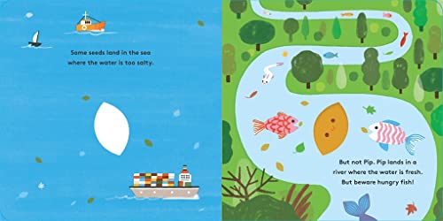 Maggie Li - Little Life Cycles: Pip - Hardback image 5