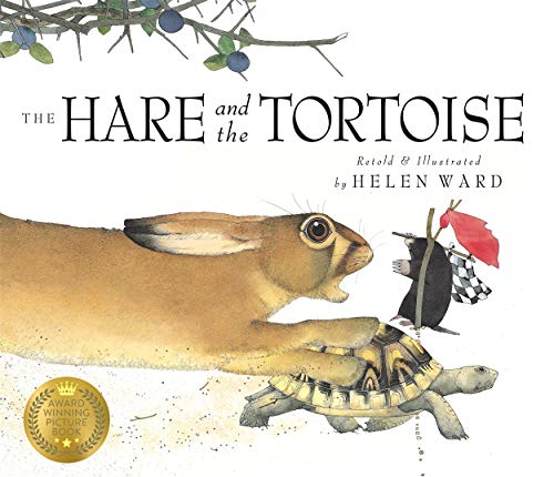 Helen Ward - Hare and the Tortoise - Paperback image 1